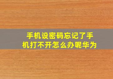 手机设密码忘记了手机打不开怎么办呢华为