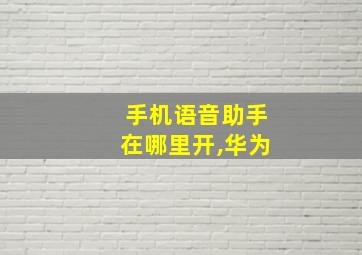 手机语音助手在哪里开,华为