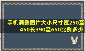 手机调整图片大小尺寸宽250至450长390至650比例多少