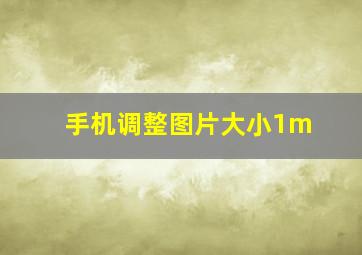 手机调整图片大小1m