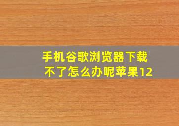 手机谷歌浏览器下载不了怎么办呢苹果12