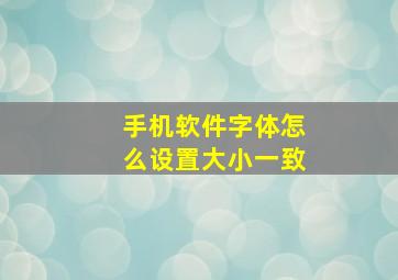 手机软件字体怎么设置大小一致