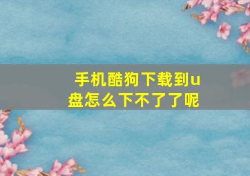 手机酷狗下载到u盘怎么下不了了呢