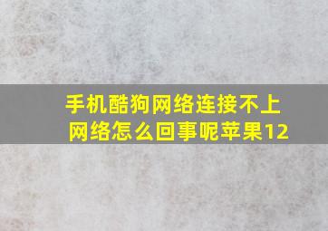 手机酷狗网络连接不上网络怎么回事呢苹果12