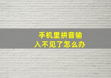 手机里拼音输入不见了怎么办