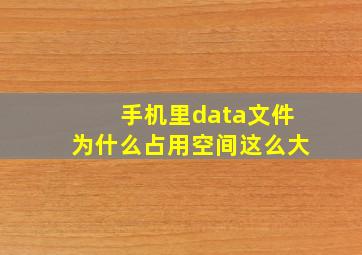 手机里data文件为什么占用空间这么大