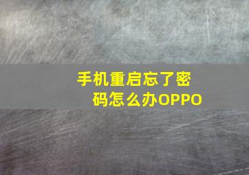 手机重启忘了密码怎么办OPPO