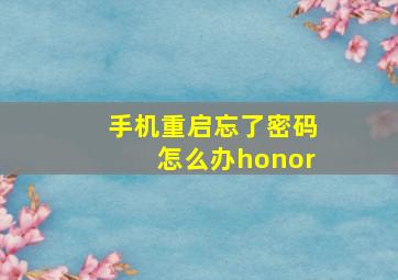 手机重启忘了密码怎么办honor