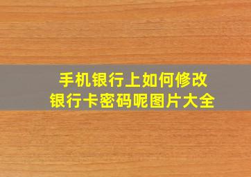 手机银行上如何修改银行卡密码呢图片大全