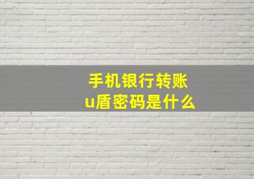 手机银行转账u盾密码是什么