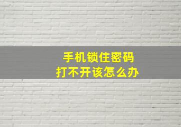 手机锁住密码打不开该怎么办