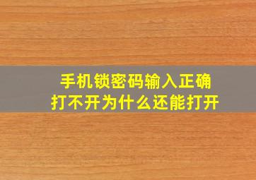 手机锁密码输入正确打不开为什么还能打开