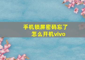 手机锁屏密码忘了怎么开机vivo