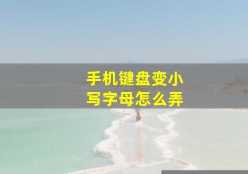 手机键盘变小写字母怎么弄