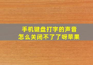 手机键盘打字的声音怎么关闭不了了呀苹果