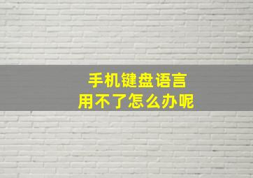 手机键盘语言用不了怎么办呢