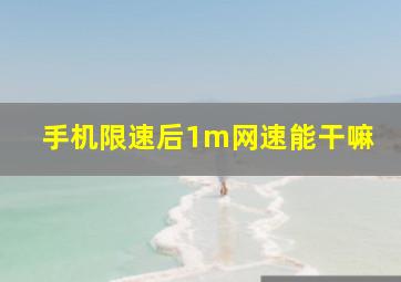 手机限速后1m网速能干嘛