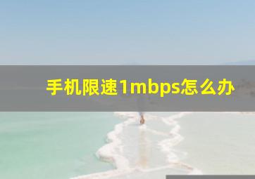 手机限速1mbps怎么办