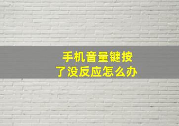 手机音量键按了没反应怎么办