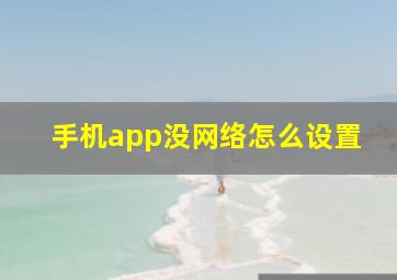 手机app没网络怎么设置