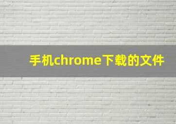 手机chrome下载的文件