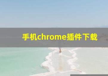 手机chrome插件下载