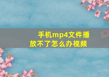 手机mp4文件播放不了怎么办视频