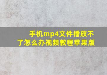 手机mp4文件播放不了怎么办视频教程苹果版