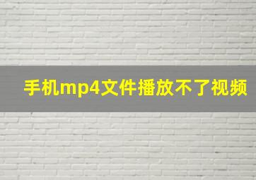 手机mp4文件播放不了视频