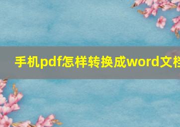 手机pdf怎样转换成word文档