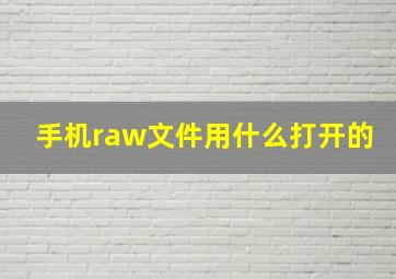 手机raw文件用什么打开的