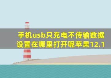 手机usb只充电不传输数据设置在哪里打开呢苹果12.1