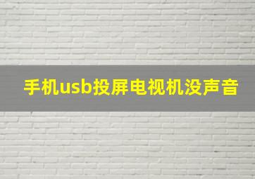 手机usb投屏电视机没声音