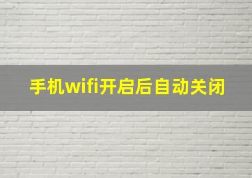 手机wifi开启后自动关闭