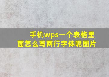 手机wps一个表格里面怎么写两行字体呢图片