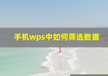 手机wps中如何筛选数据