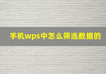 手机wps中怎么筛选数据的