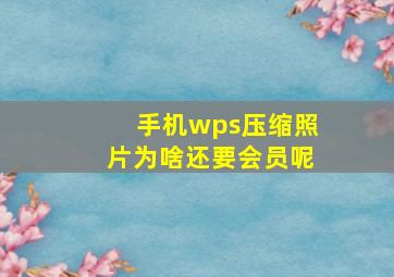 手机wps压缩照片为啥还要会员呢