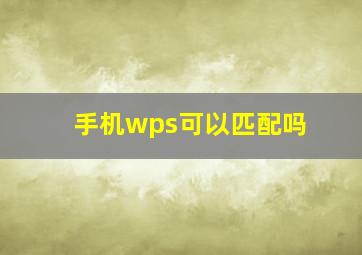 手机wps可以匹配吗