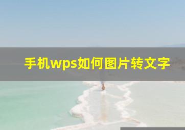 手机wps如何图片转文字