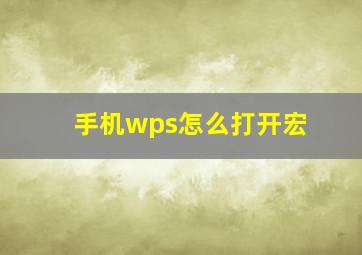 手机wps怎么打开宏