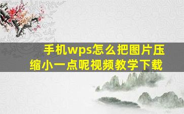 手机wps怎么把图片压缩小一点呢视频教学下载