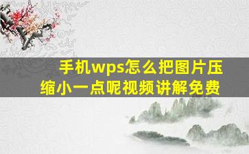 手机wps怎么把图片压缩小一点呢视频讲解免费