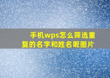 手机wps怎么筛选重复的名字和姓名呢图片