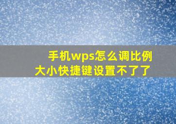 手机wps怎么调比例大小快捷键设置不了了