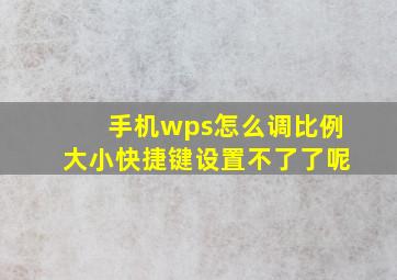 手机wps怎么调比例大小快捷键设置不了了呢