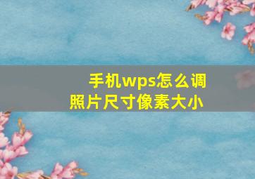 手机wps怎么调照片尺寸像素大小