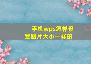 手机wps怎样设置图片大小一样的