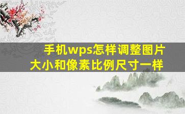 手机wps怎样调整图片大小和像素比例尺寸一样