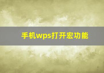 手机wps打开宏功能